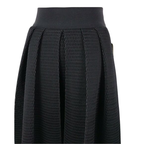 Kay Unger Black Maxi Skirt Size 2 Fishnet Mesh Goth Formal Cocktail Pleated